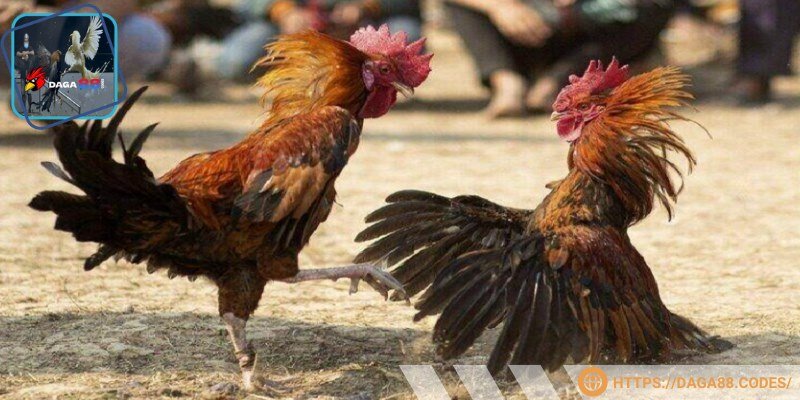 Người chơi sẽ có trải nghiệm siêu chất, không lẫn vào đâu