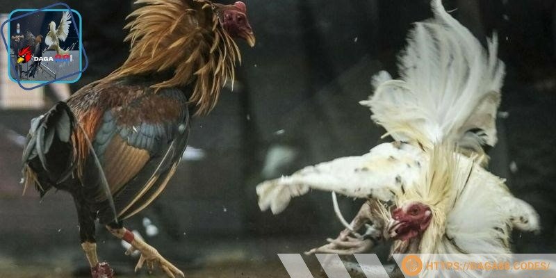 Đăng ký dễ dàng để xem mượt mà