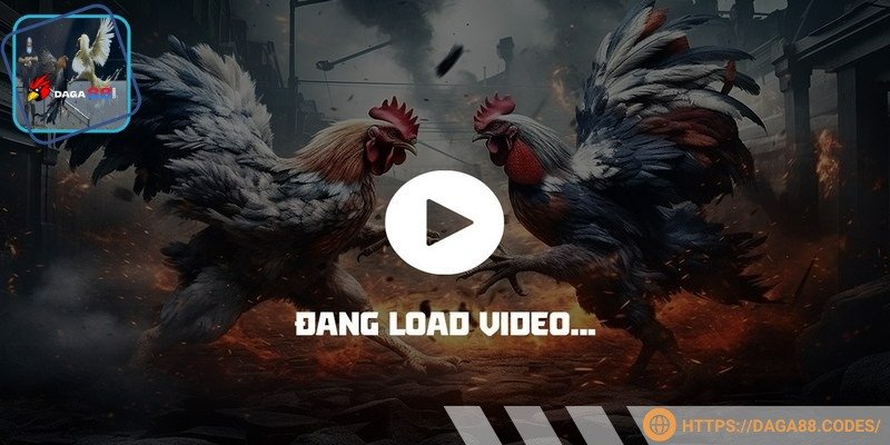 Video sắc nét trên DAGA88