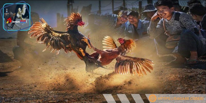 Người xem sẽ tin tưởng hơn vào trận đấu