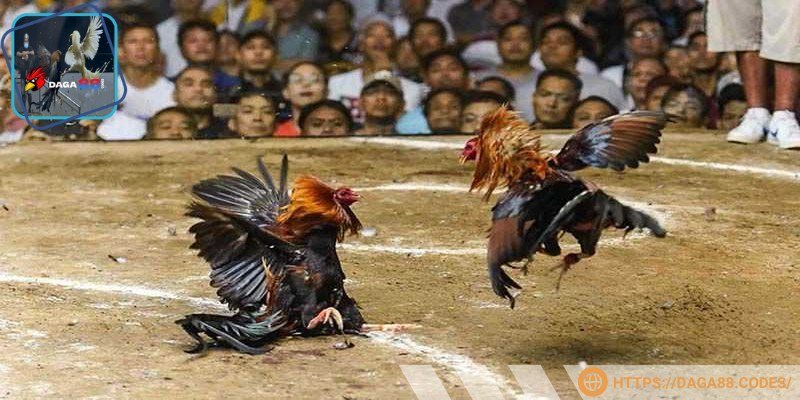 Phần bình luận hỗ trợ rất nhiều cho người chơi