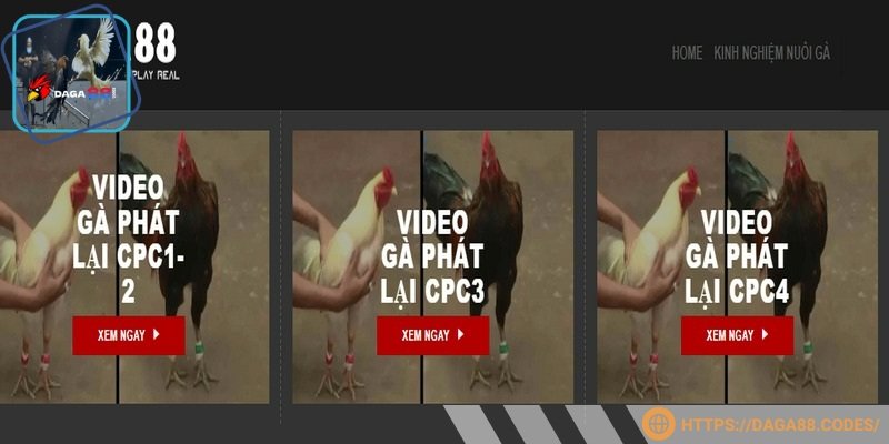 Người xem sẽ không bị nhàm chán, bỏ giữa chừng