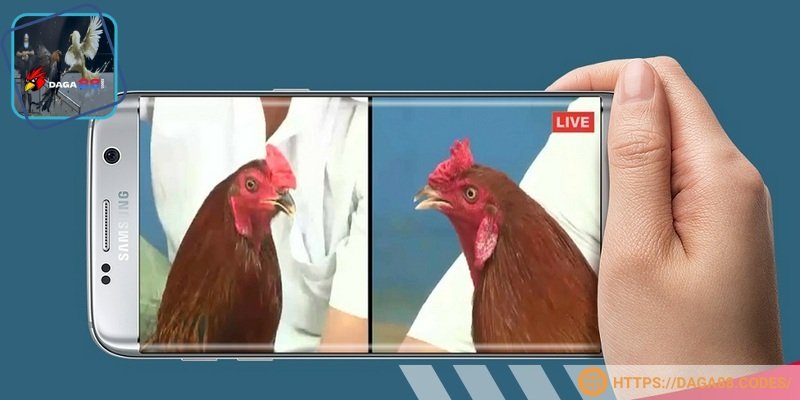 Bet thủ tại DAGA88 phải đủ 18 tuổi