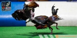 Cần phân tích kỹ trạng thái kê chiến để chọn con đánh tốt