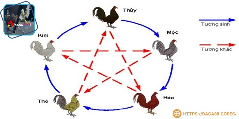 Hôm nay đá gà màu gì tốt nhất cần phân tích kỹ ngũ hành