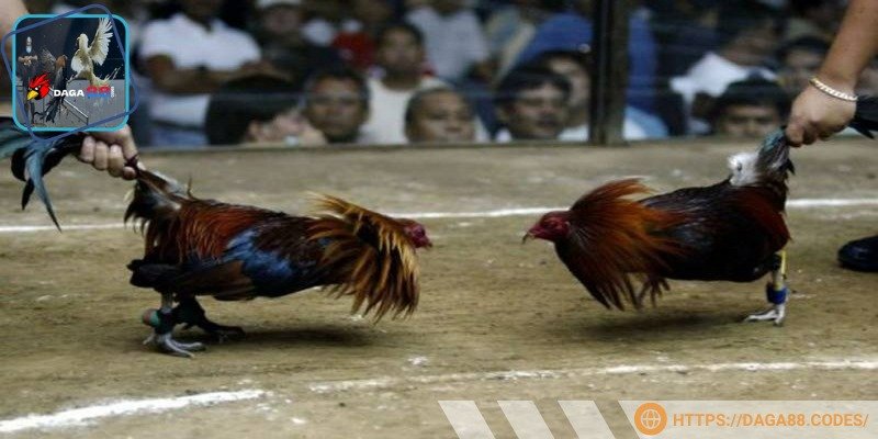 Chúng ta không nên đặt nhiều cảm xúc quá, dễ ảnh hưởng